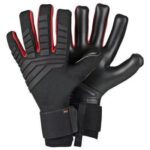 Goalkeeper Gloves