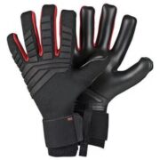 Goalkeeper Gloves